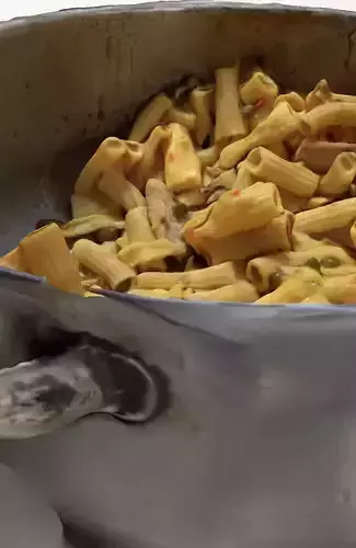 Pasta in Casserole 3D print model