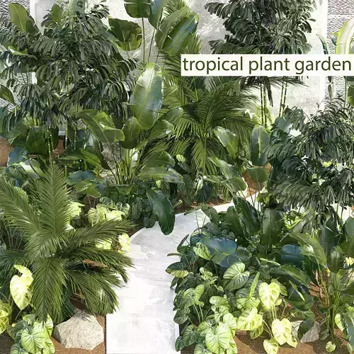 Realistic garden of tropical plants Strelitzia palm thicket 1256 3D model