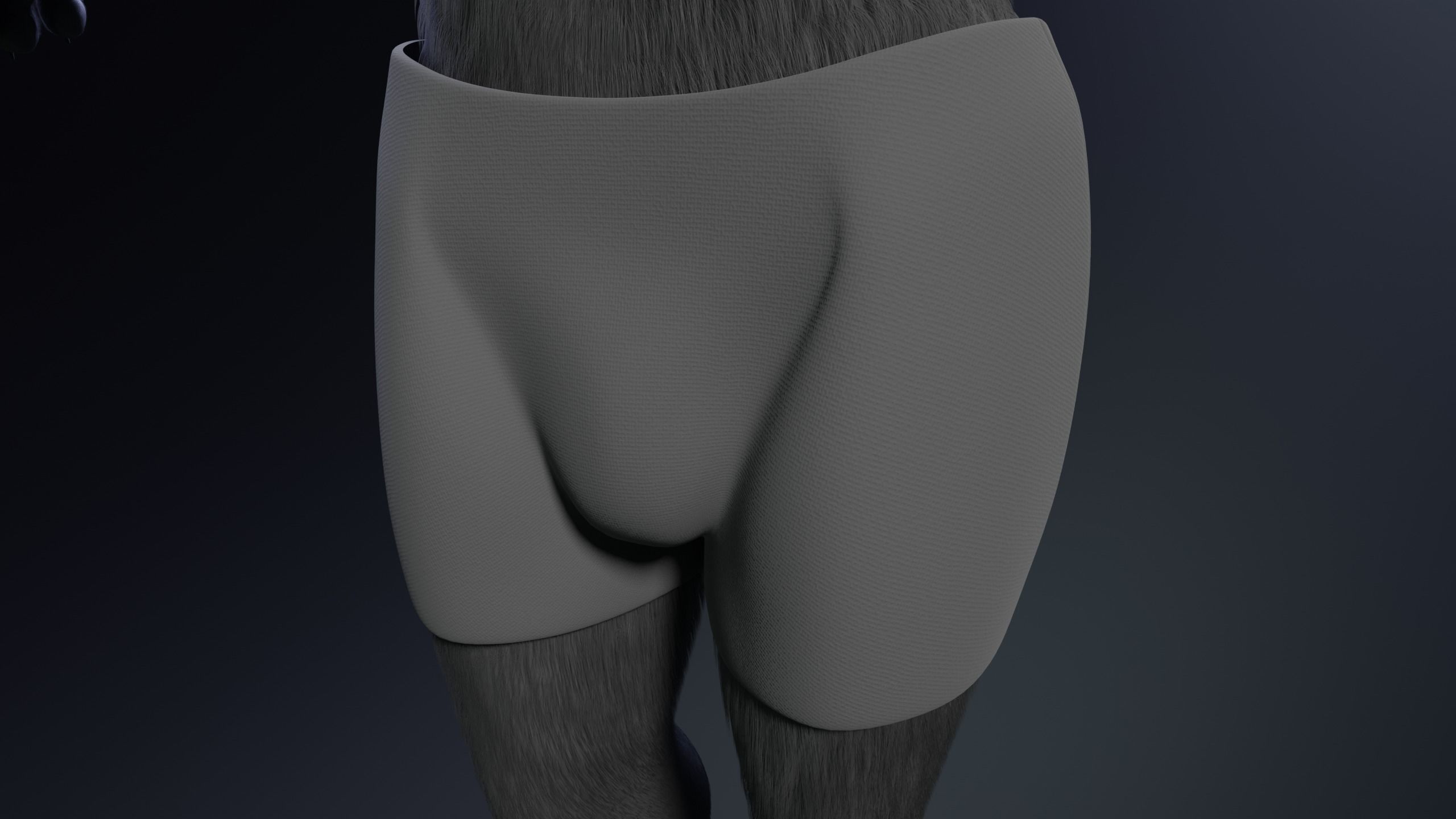 Fenrir Anthro Wolf 3D model_29