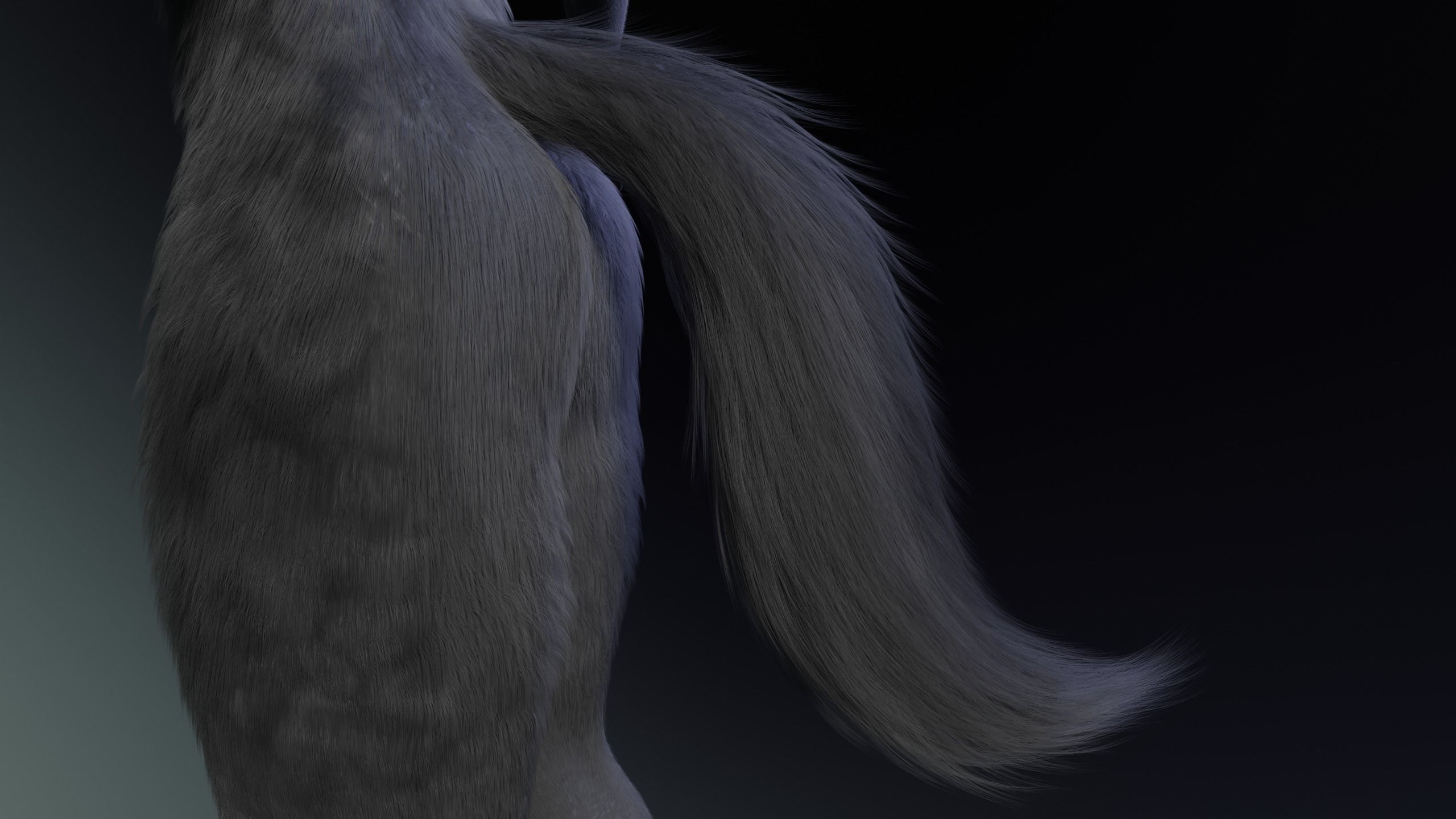 Fenrir Anthro Wolf 3D model_11