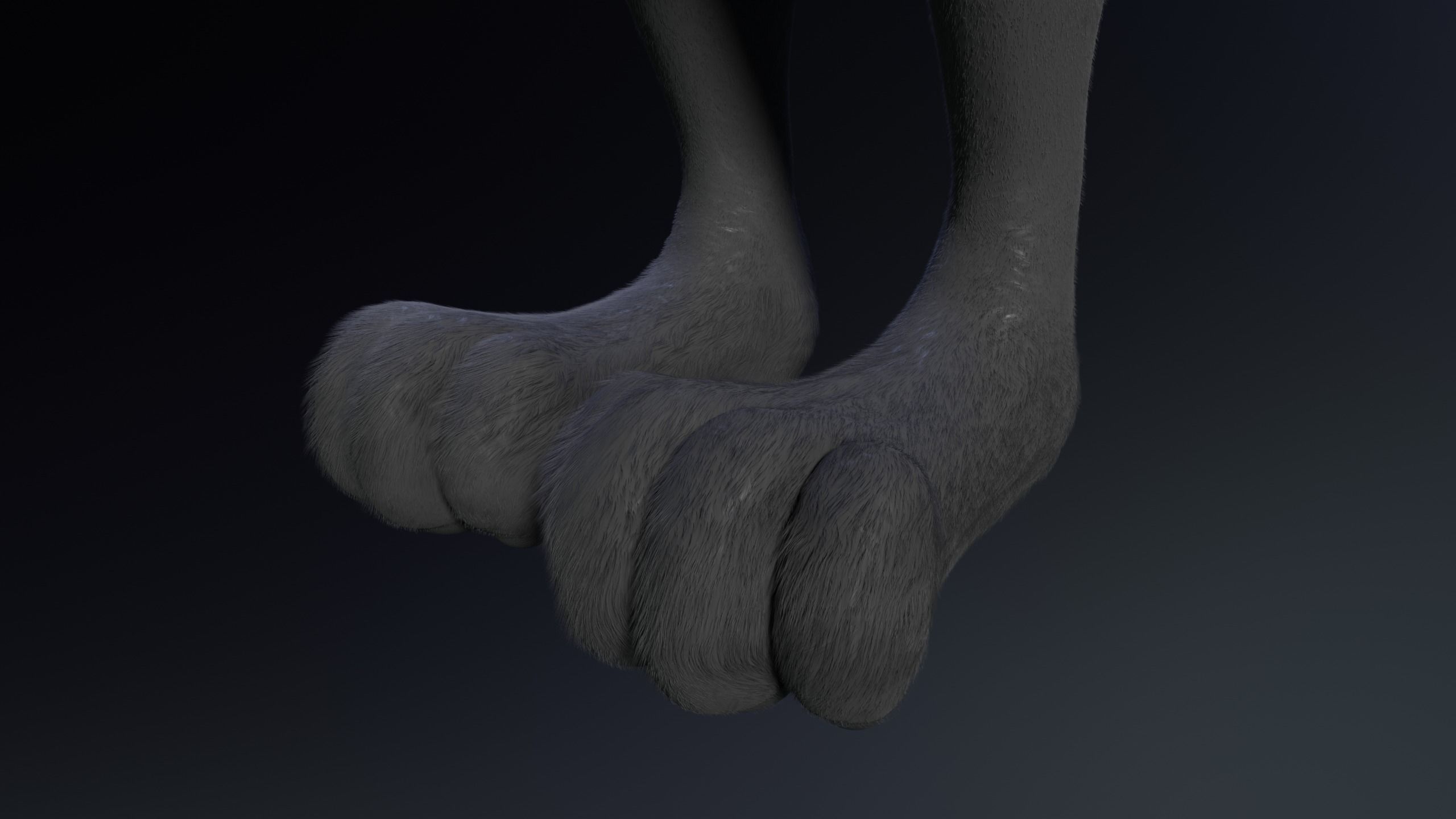 Fenrir Anthro Wolf 3D model_14