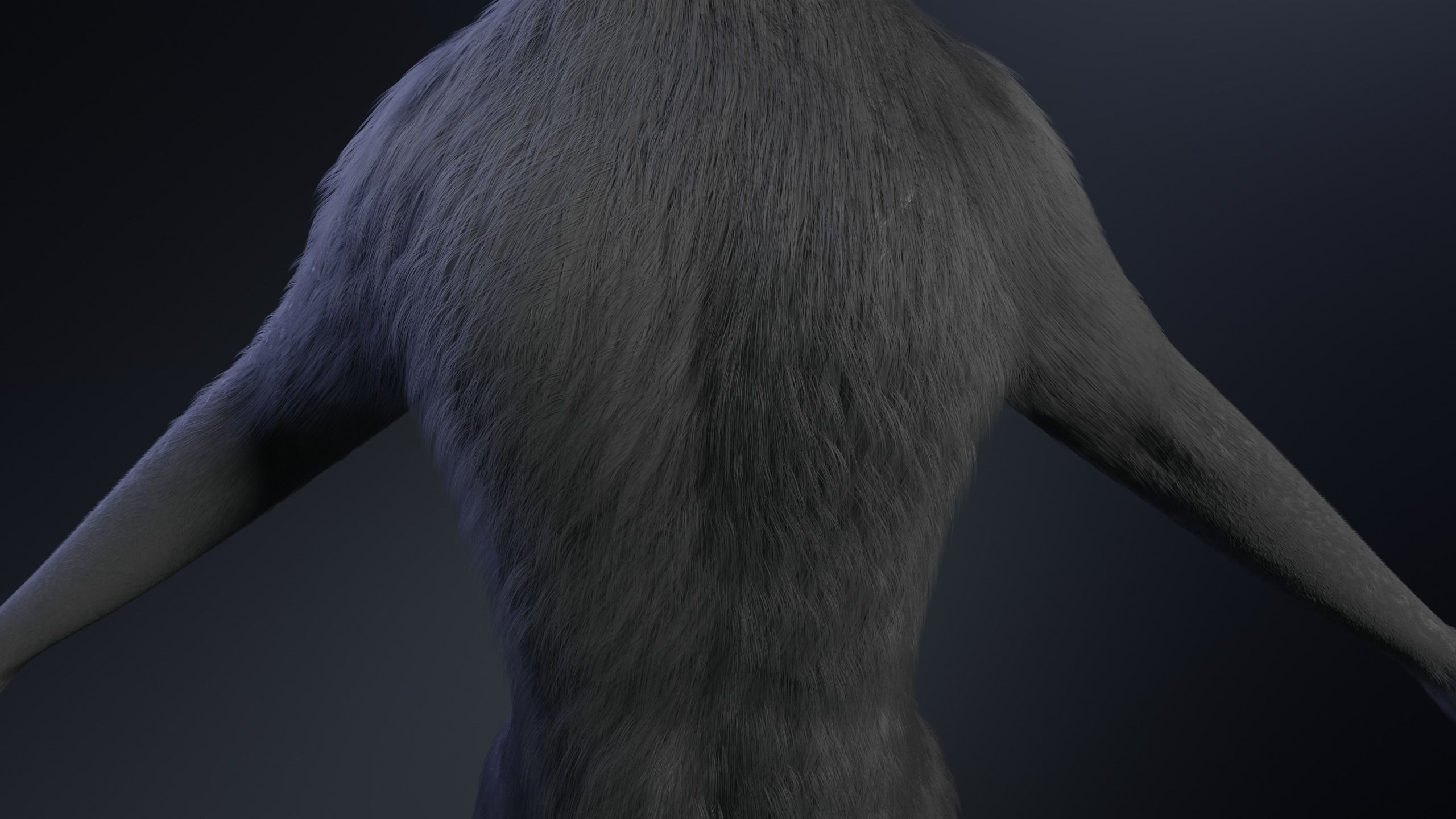 Fenrir Anthro Wolf 3D model_18