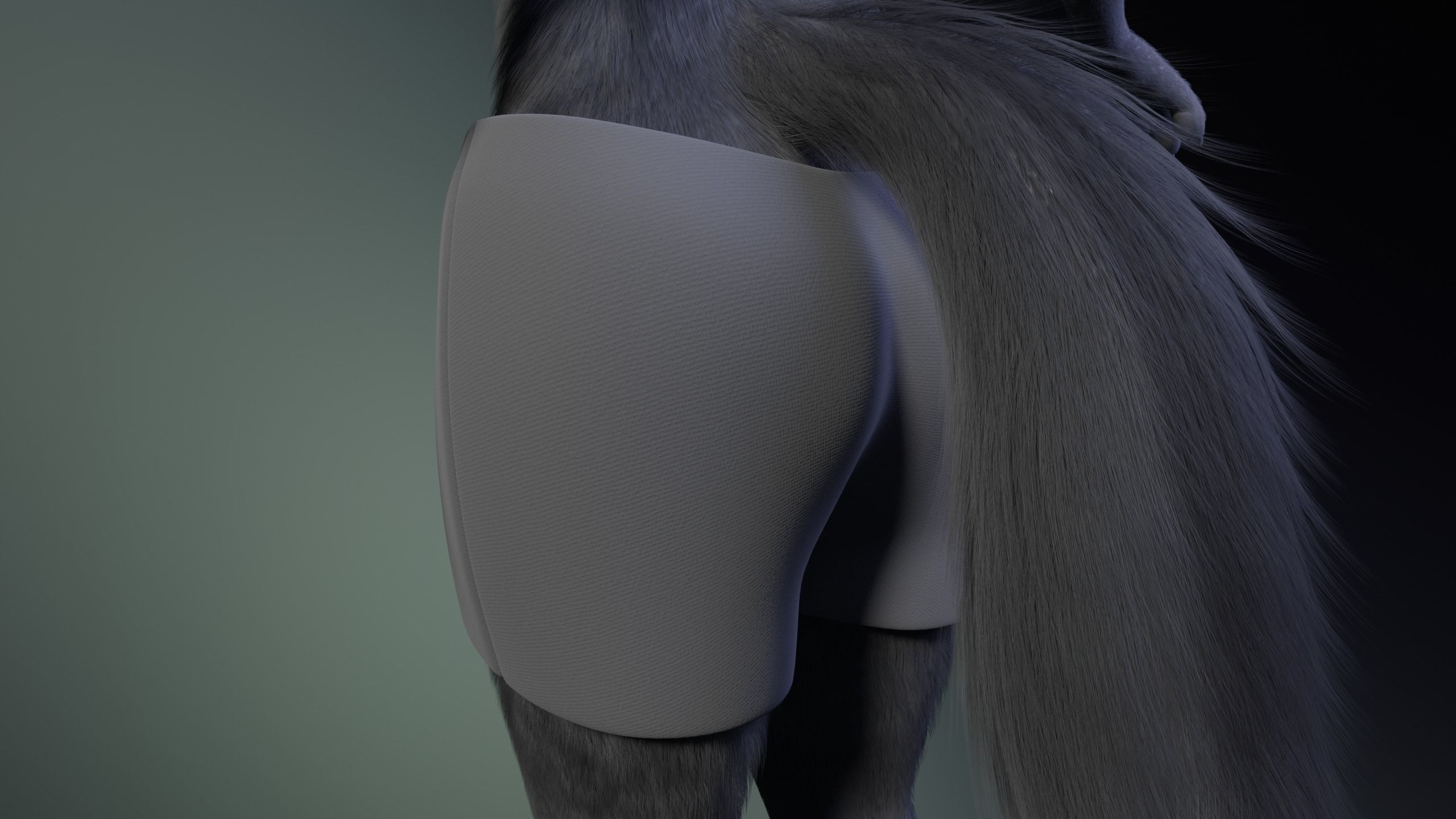 Fenrir Anthro Wolf 3D model_30