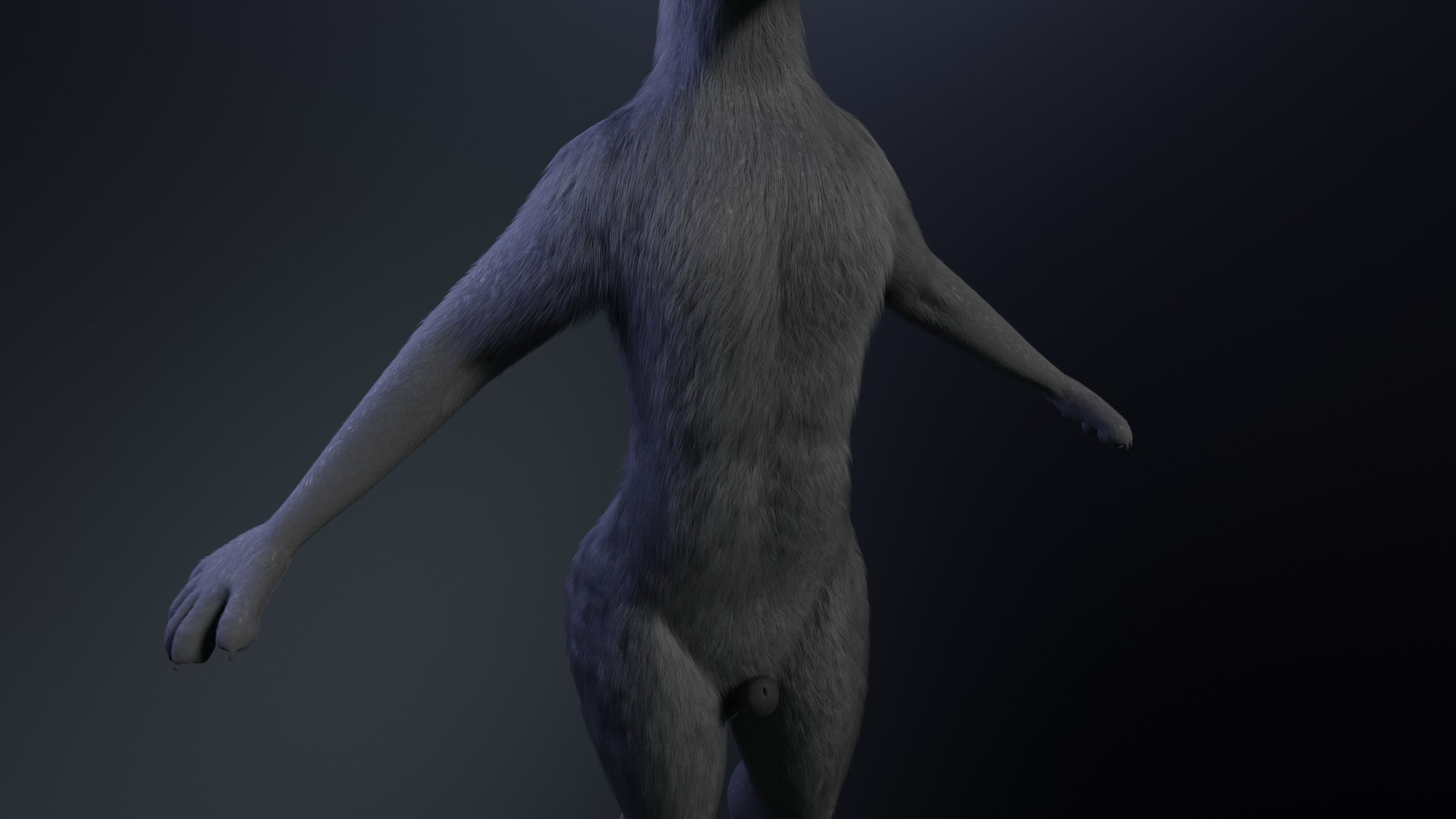 Fenrir Anthro Wolf 3D model_7