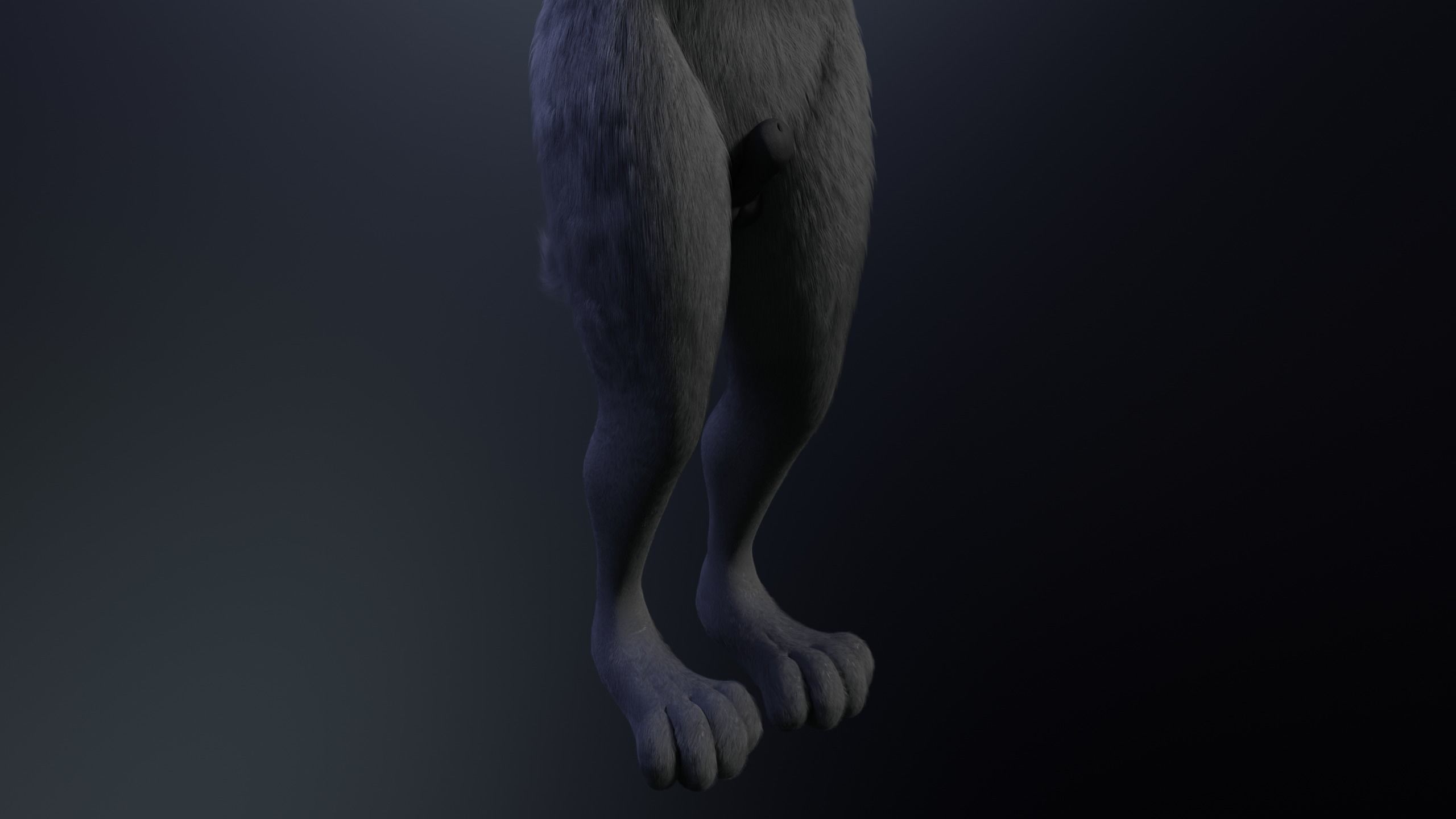 Fenrir Anthro Wolf 3D model_9