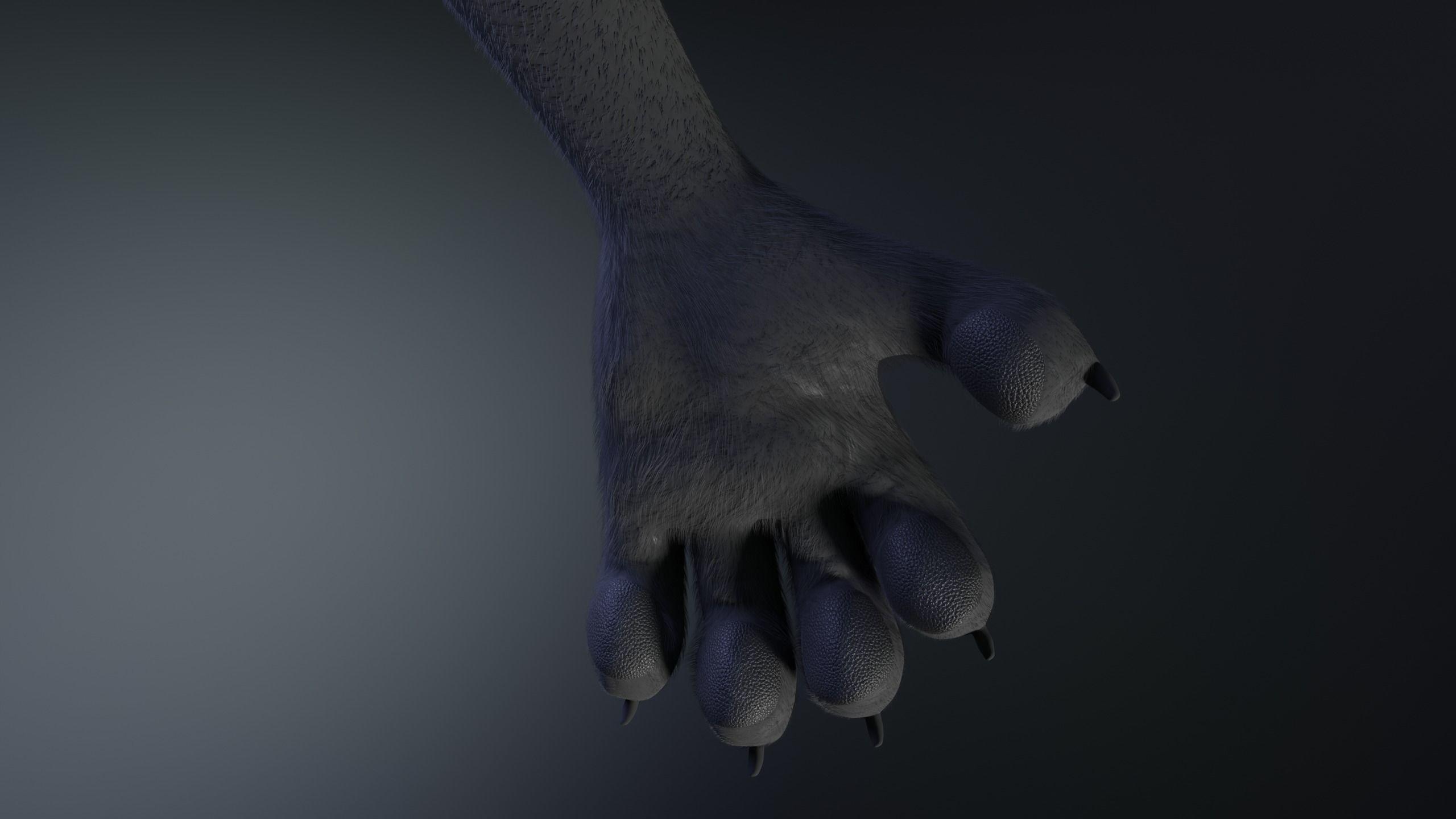 Fenrir Anthro Wolf 3D model_13