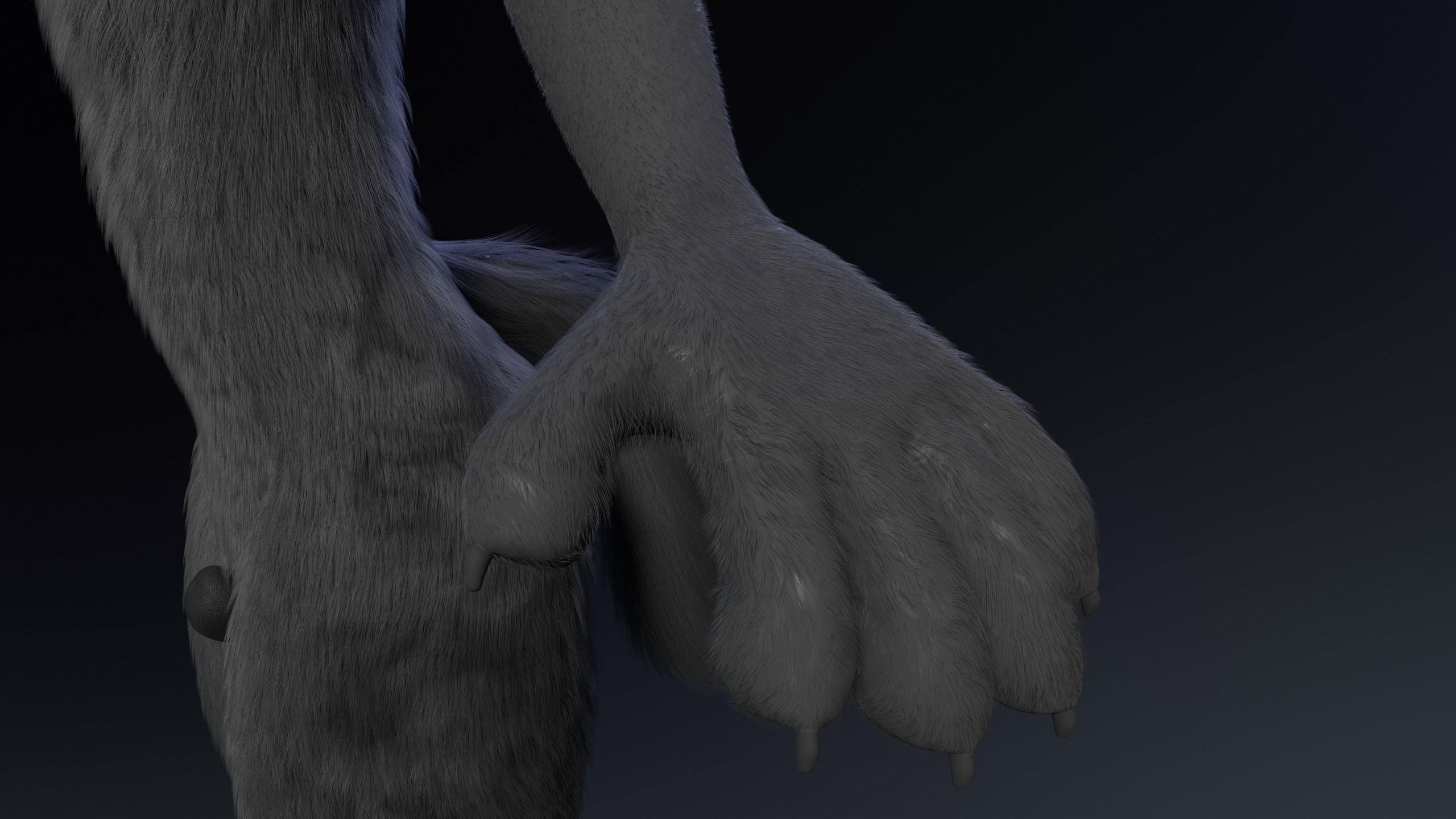 Fenrir Anthro Wolf 3D model_12