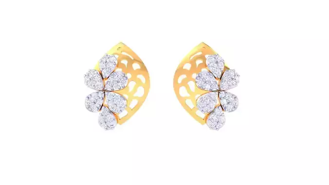 Studs Earrings - 25
