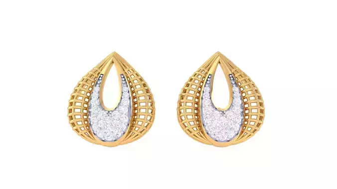 Studs Earrings - 79