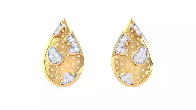 Studs Earrings - 77