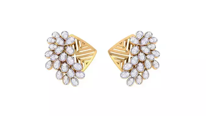 Studs Earrings - 29