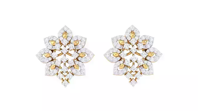 Studs Earrings - 25