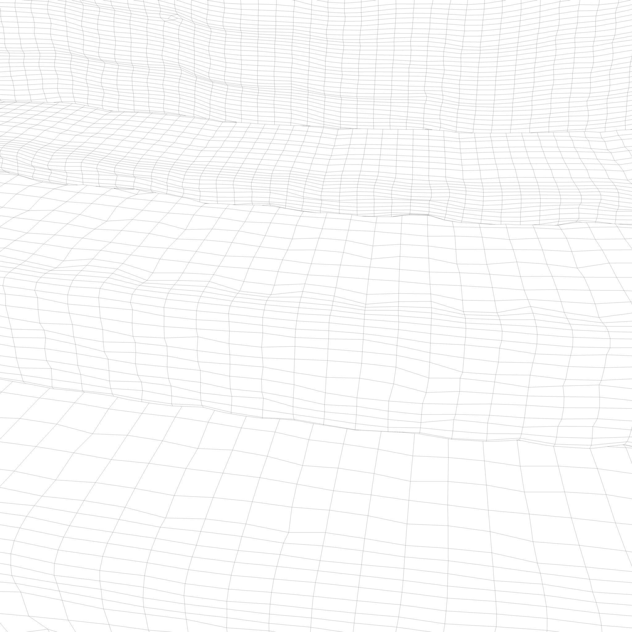 Epidermis Cross Section 3D model_9