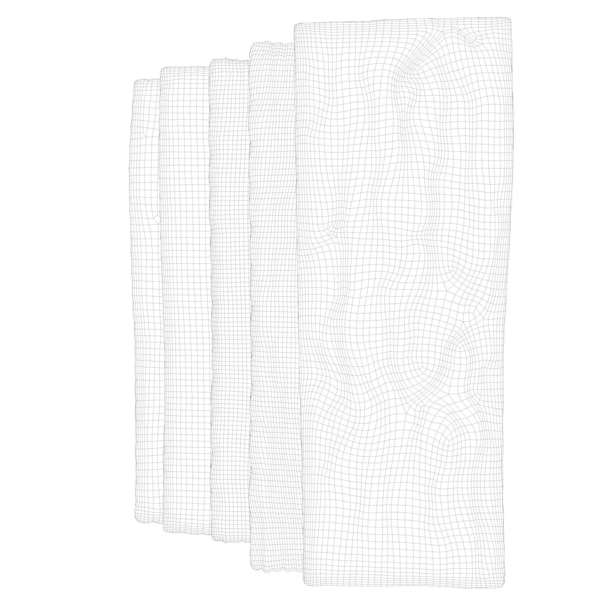 Epidermis Cross Section 3D model_7