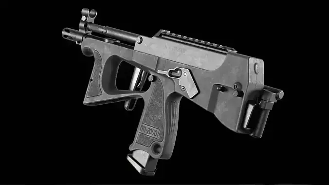PP-2000 SMG