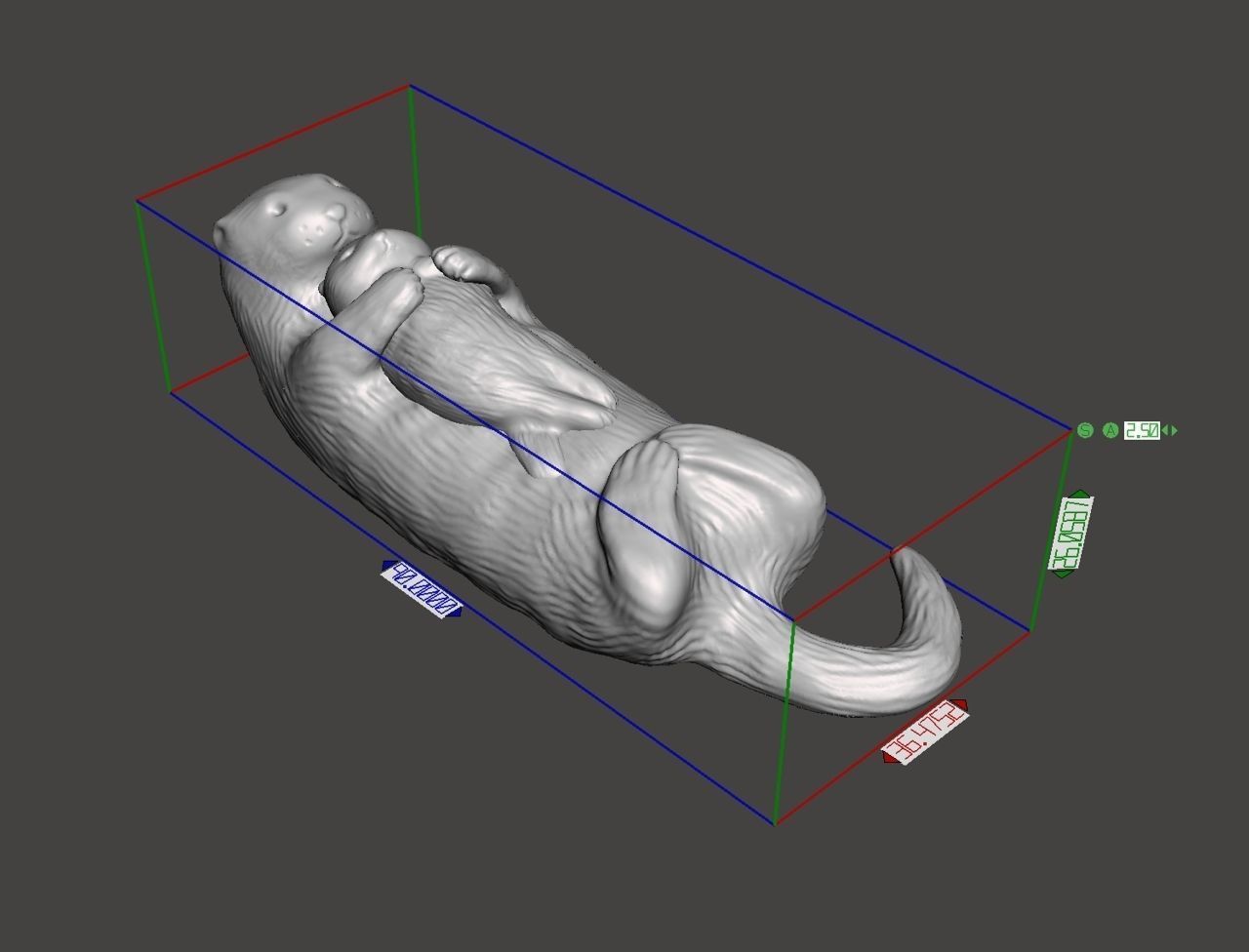Otters 3D print model_1
