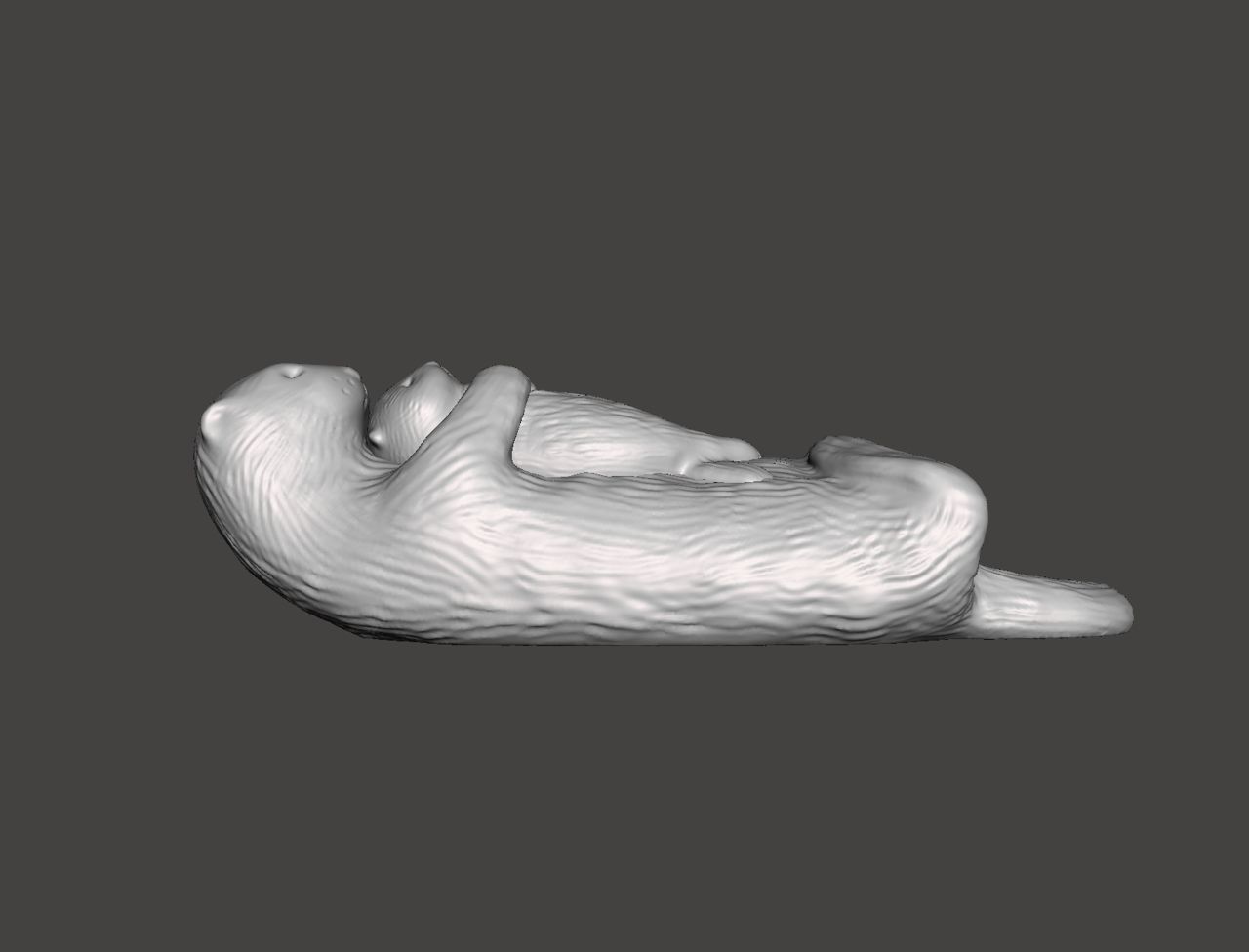 Otters 3D print model_2