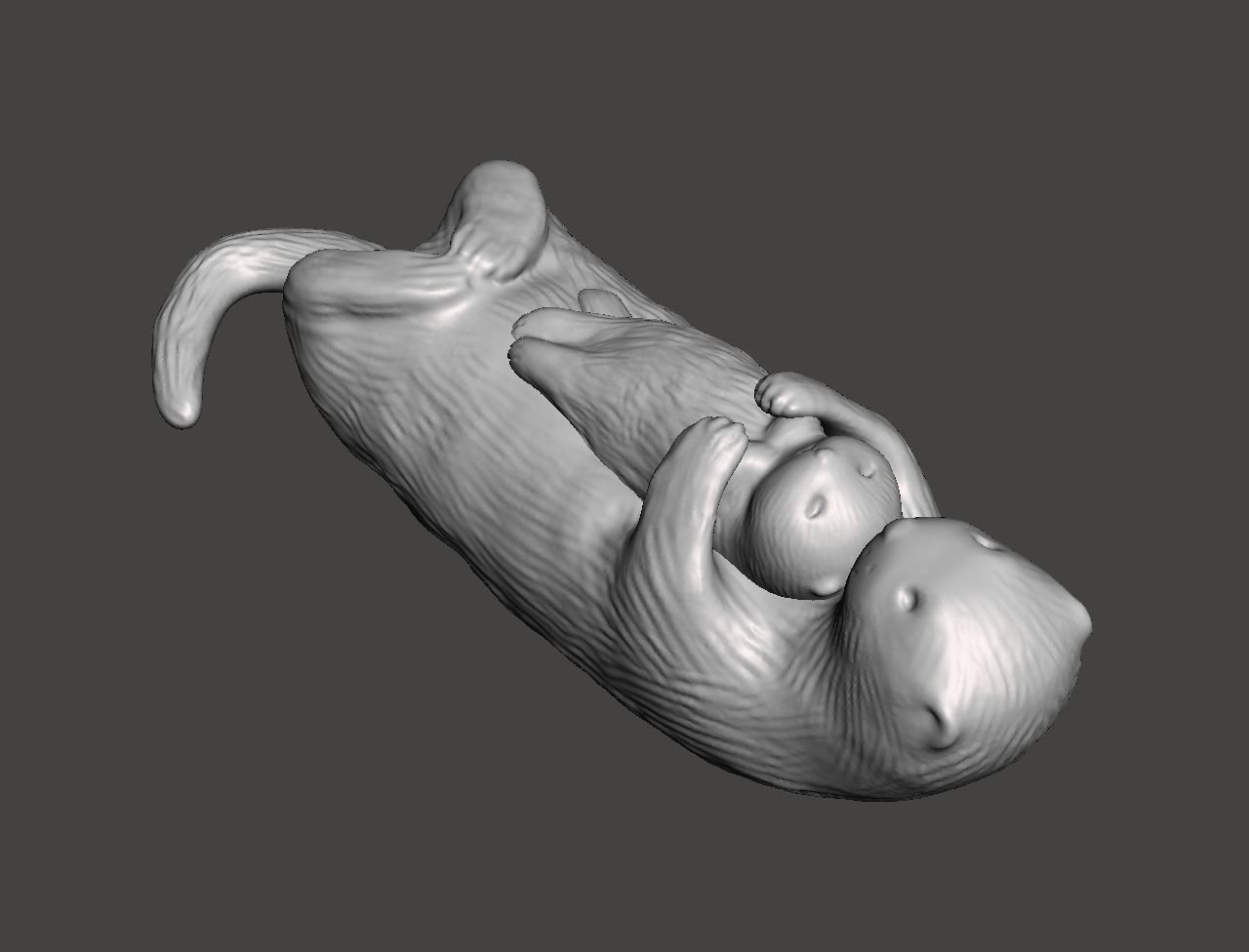 Otters 3D print model_5