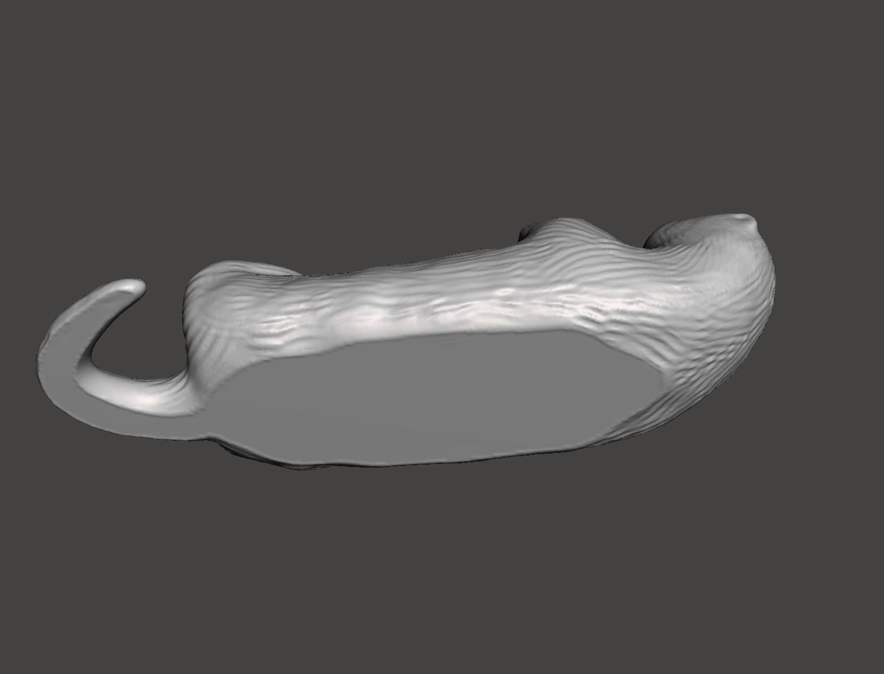 Otters 3D print model_4