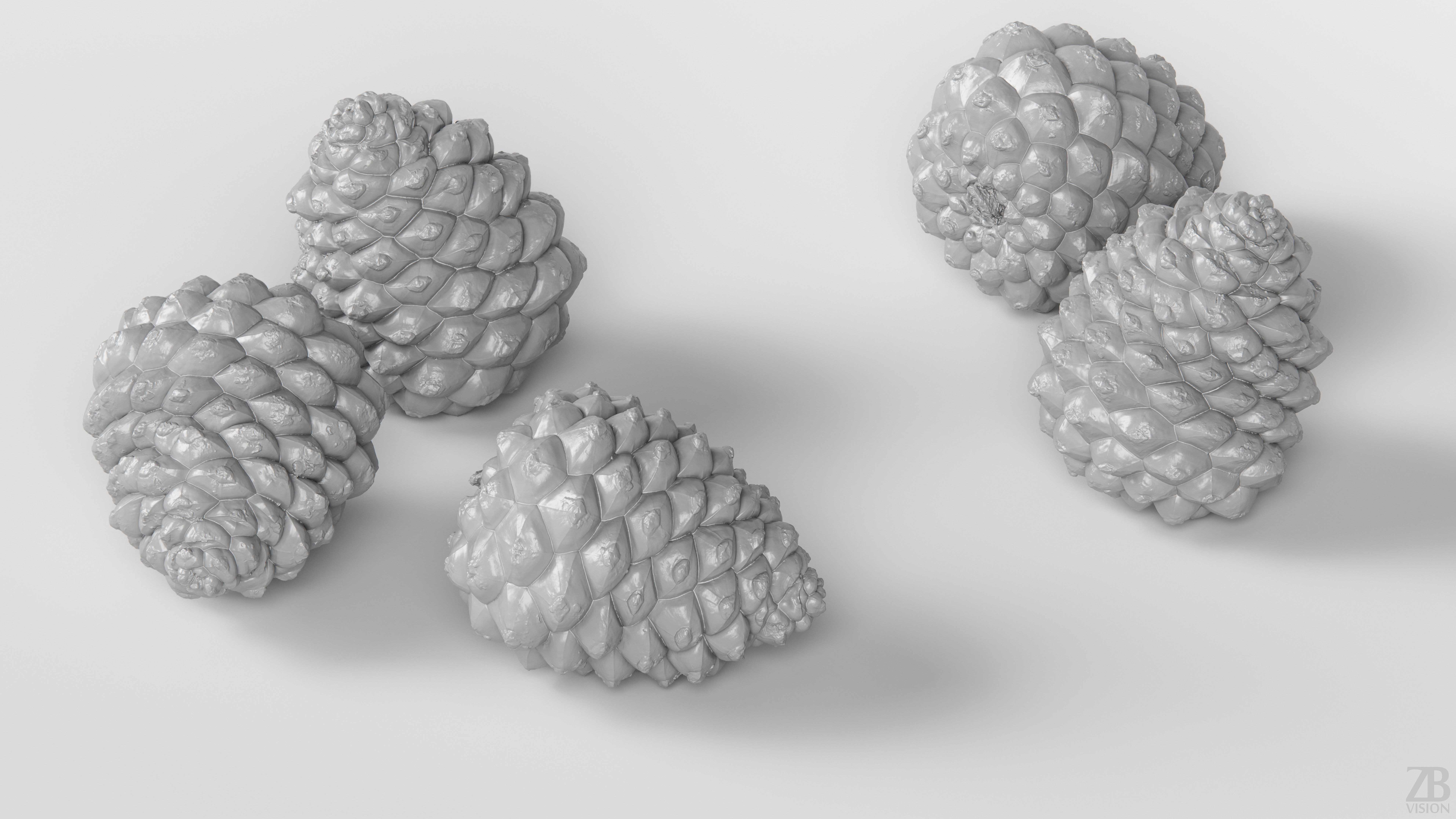 Pinecone 3D model_3