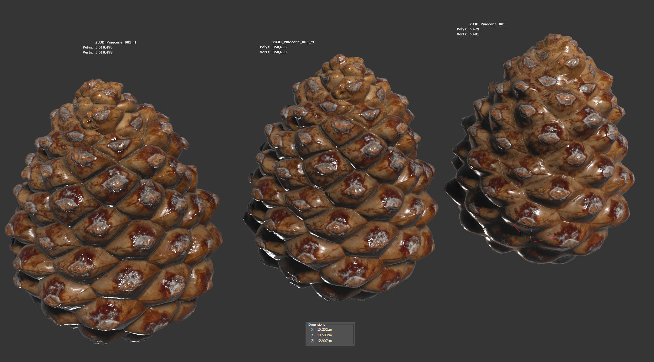 Pinecone 3D model_5