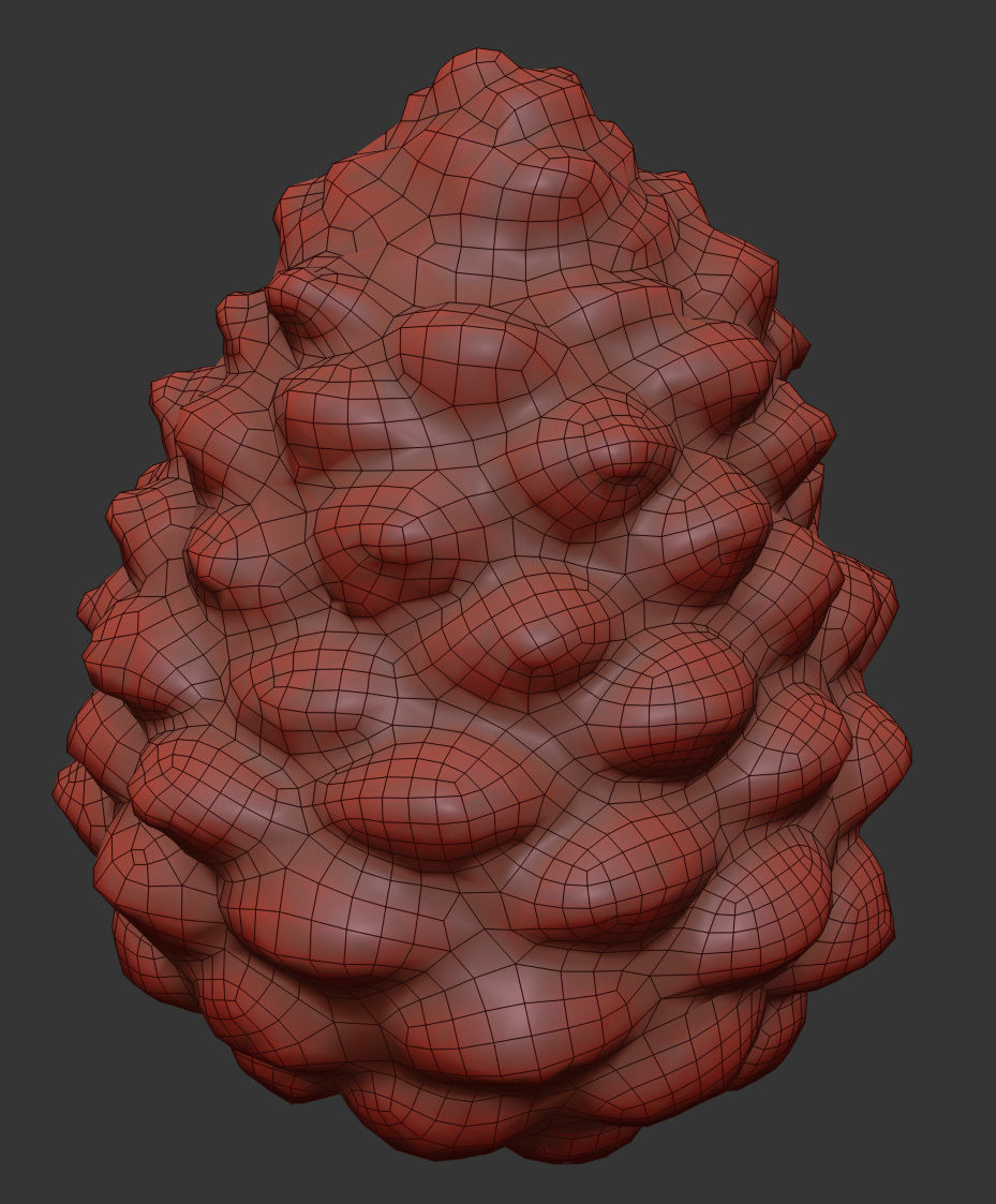 Pinecone 3D model_6