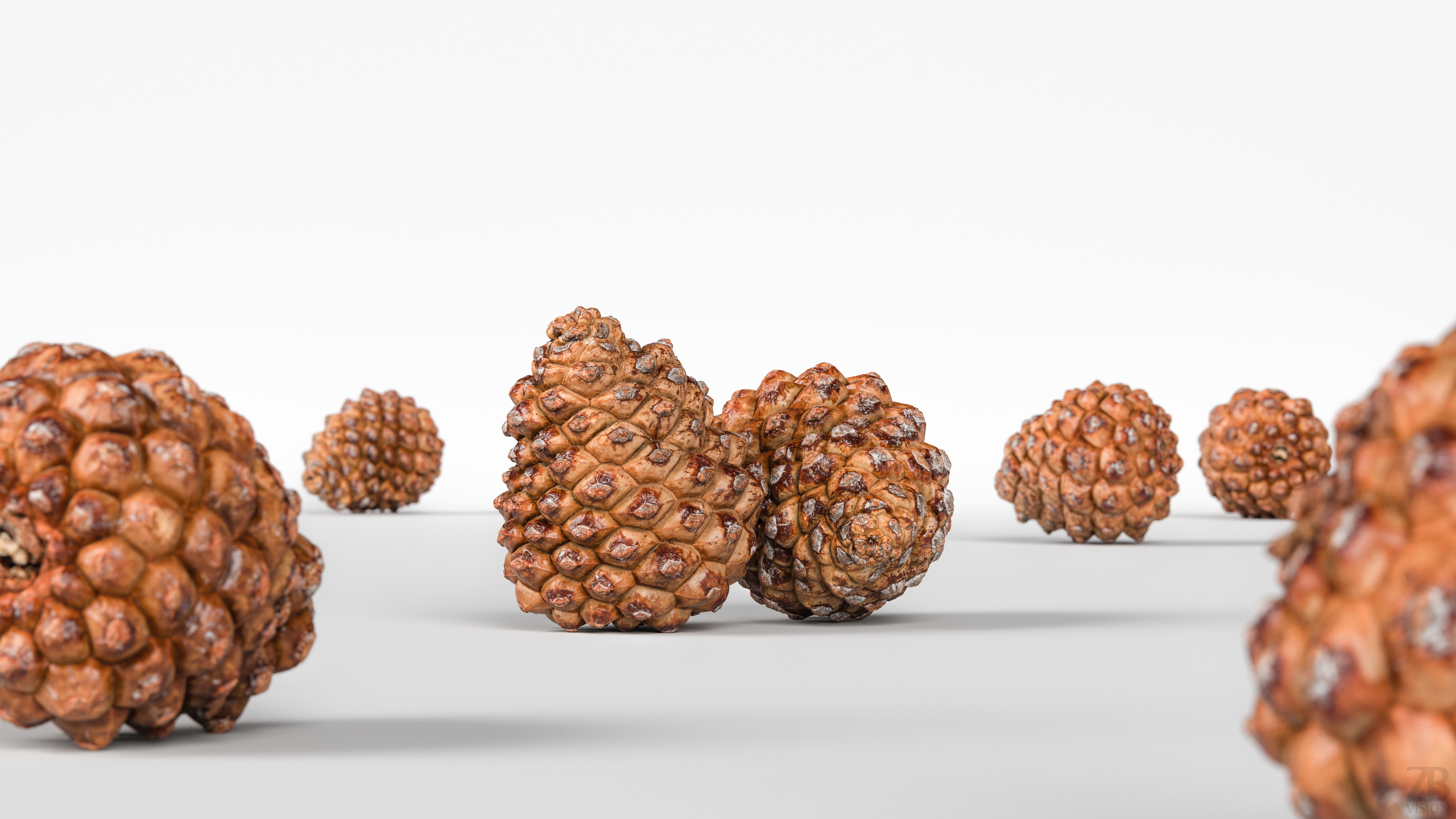 Pinecone 3D model_1