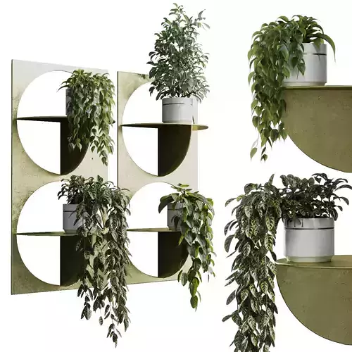 wall plant - set Indoor plant 365 plants in on a shelf