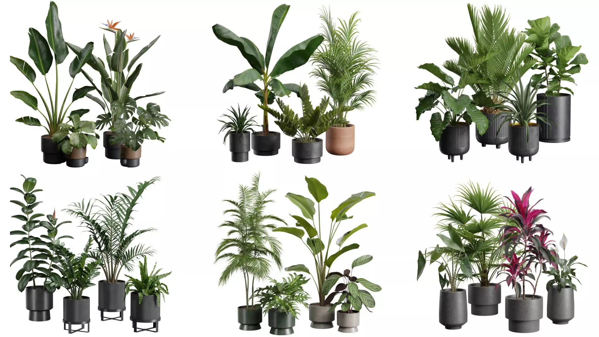 Indoor Plants Collection 01 _0