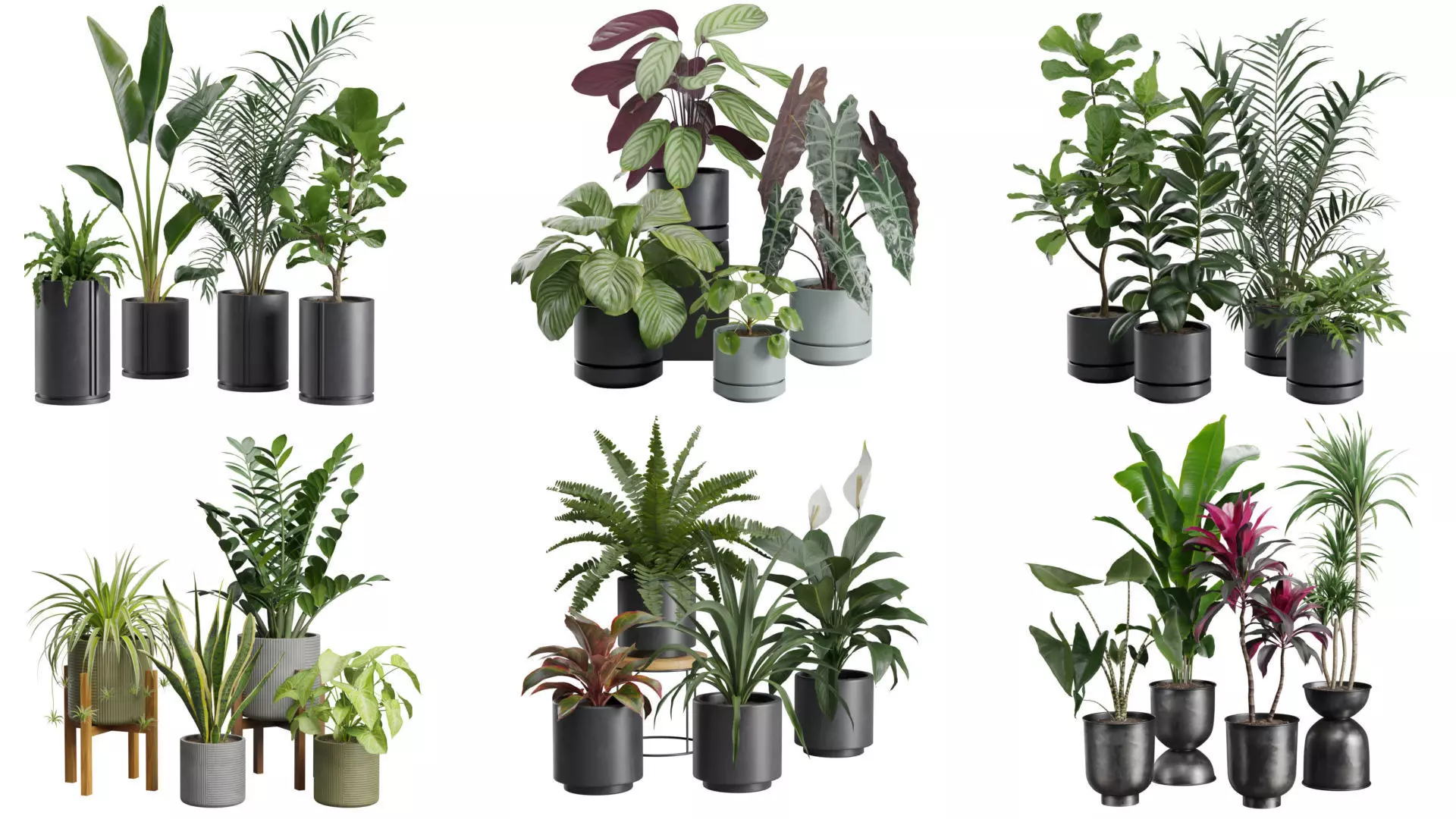 Indoor Plants Collection 02 _0