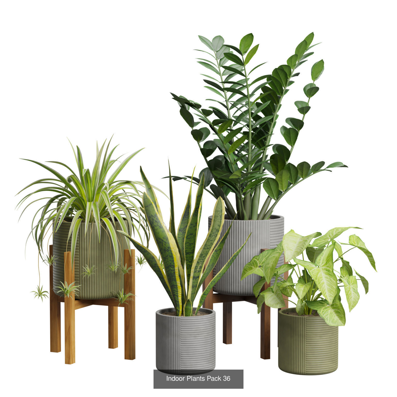 Indoor Plants Collection 02 _5