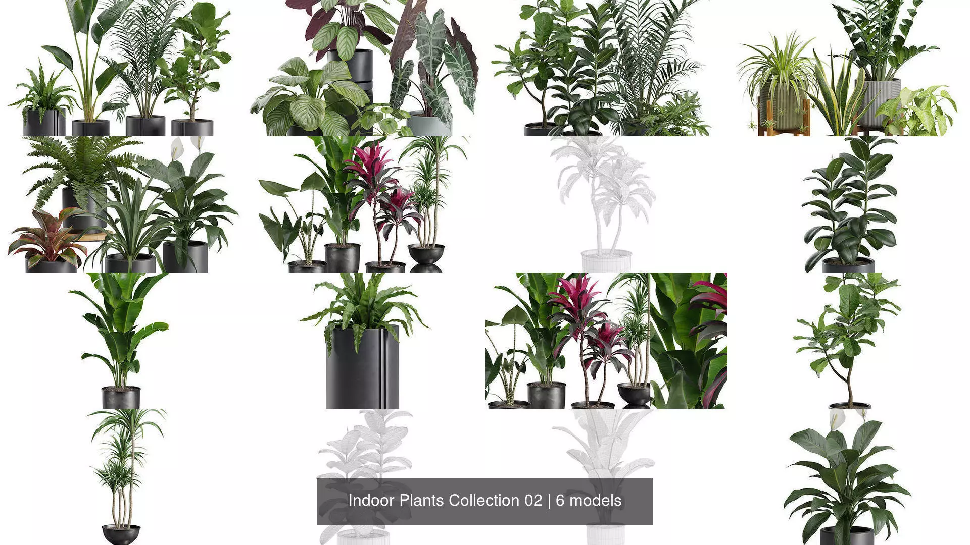 Indoor Plants Collection 02 _1