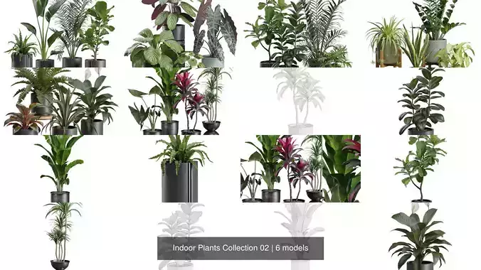 Indoor Plants Collection 02