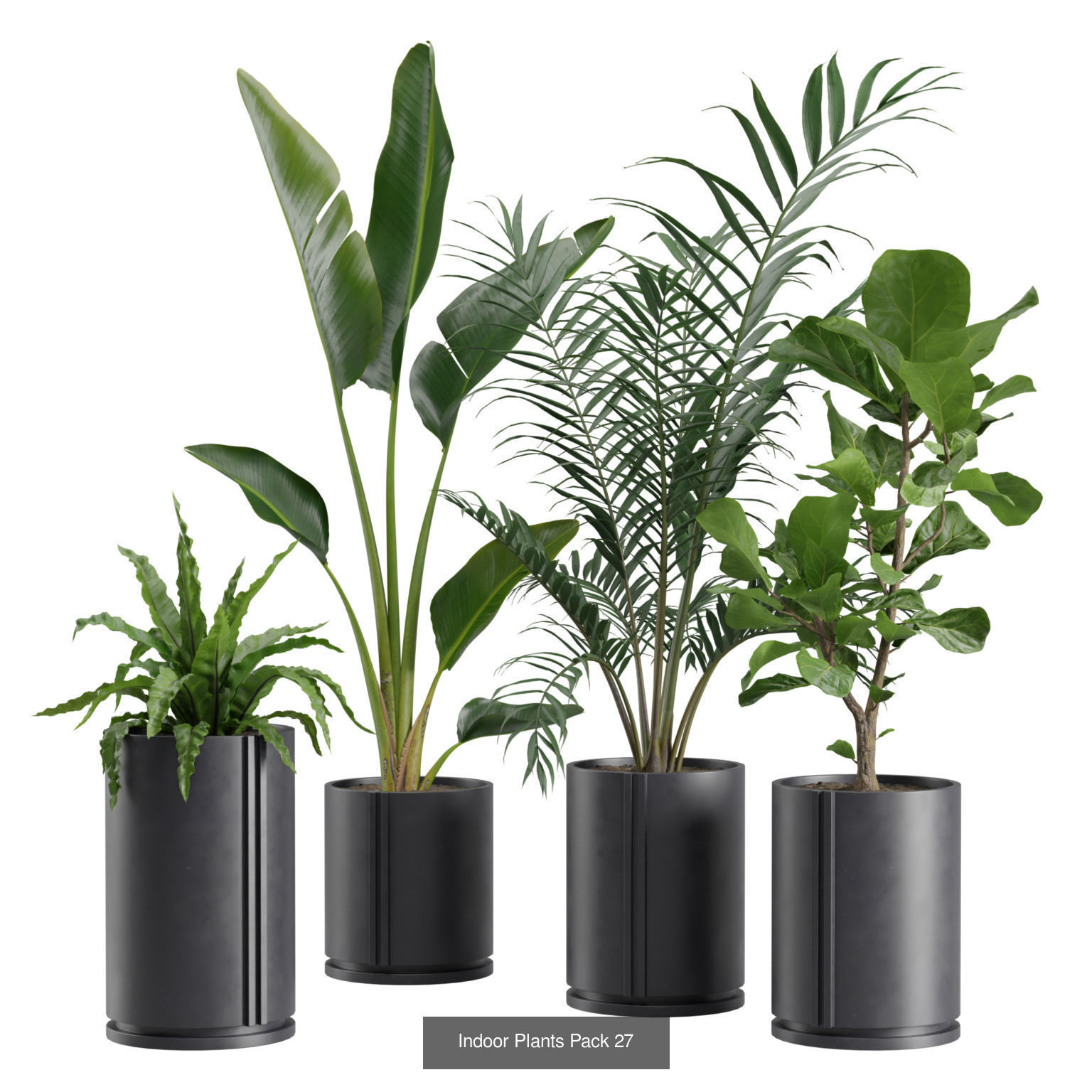 Indoor Plants Collection 02 _2