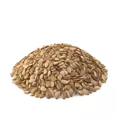 Sesame Seeds 3D model