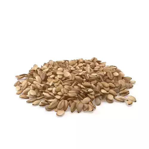Sesame Seeds V1 3D model