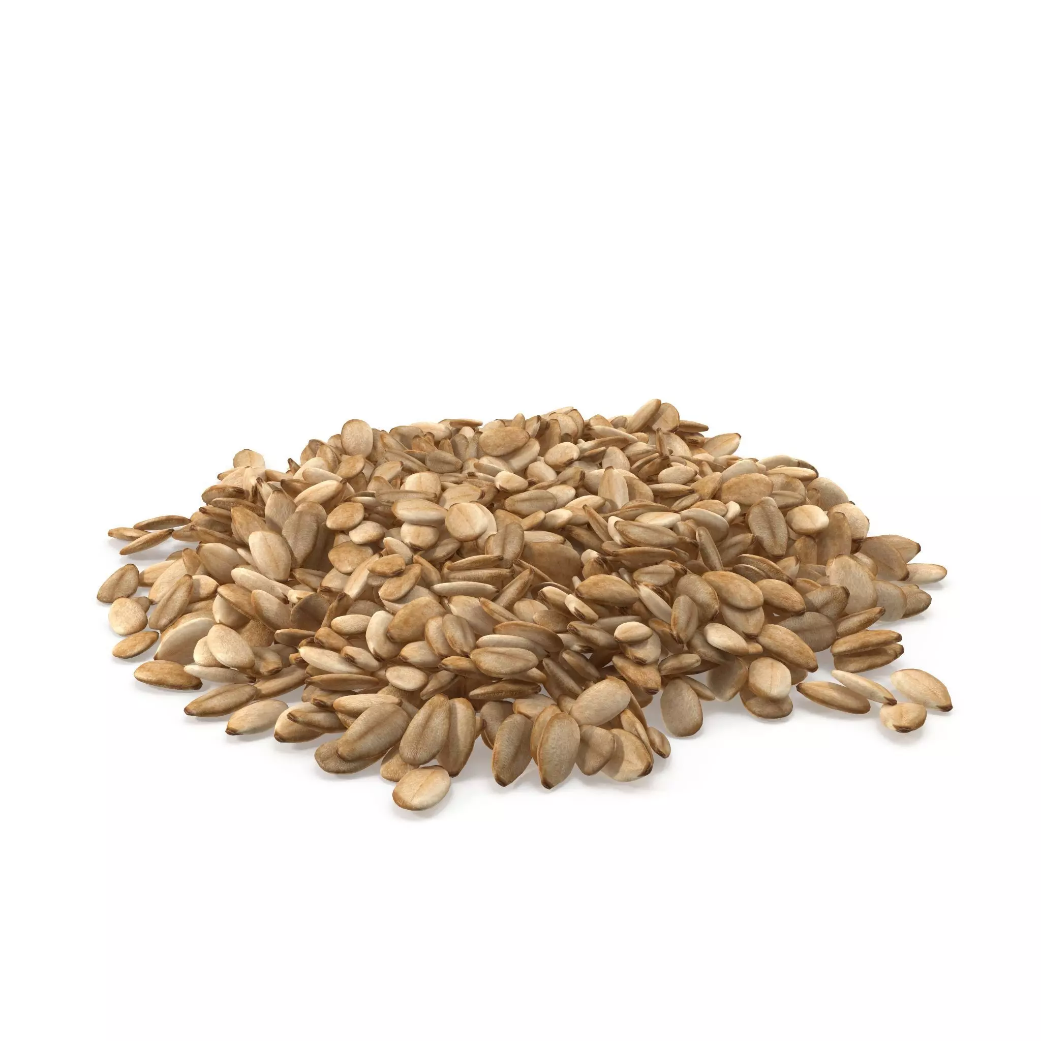 Sesame Seeds V1 3D model_0