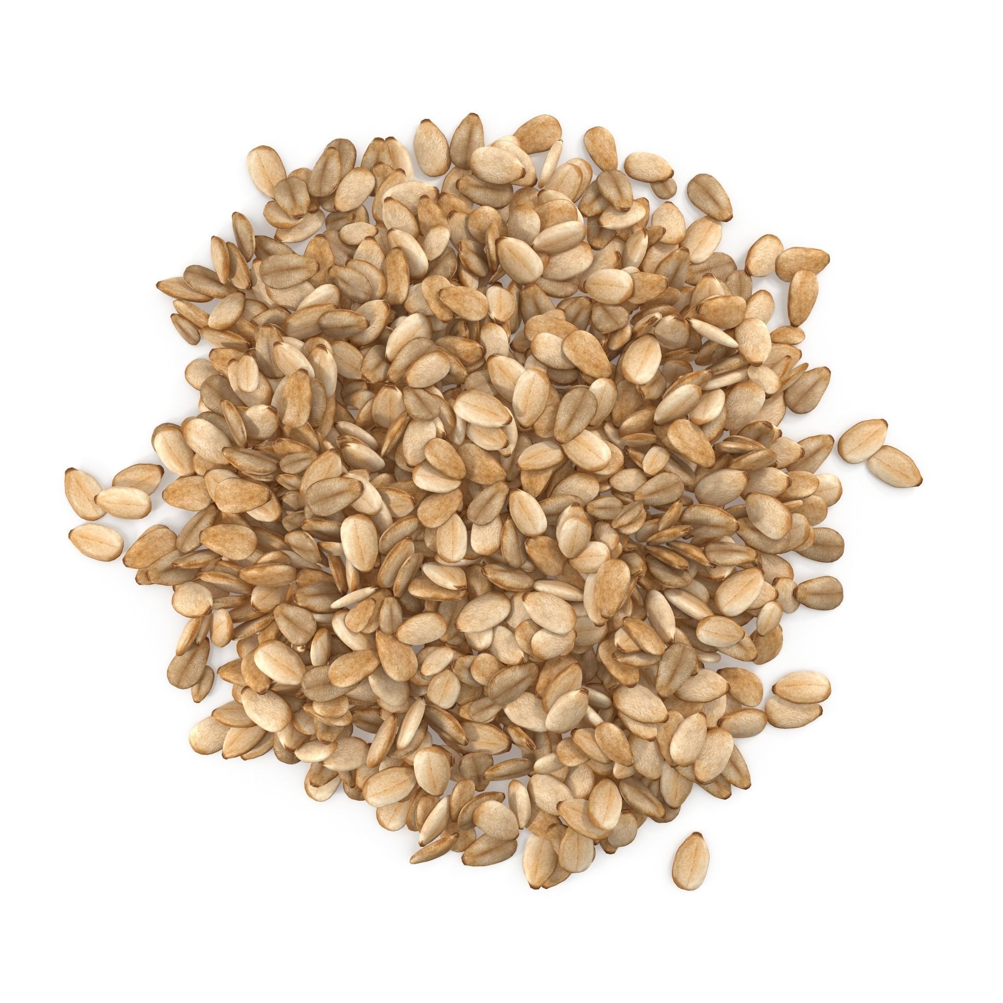 Sesame Seeds V1 3D model_1