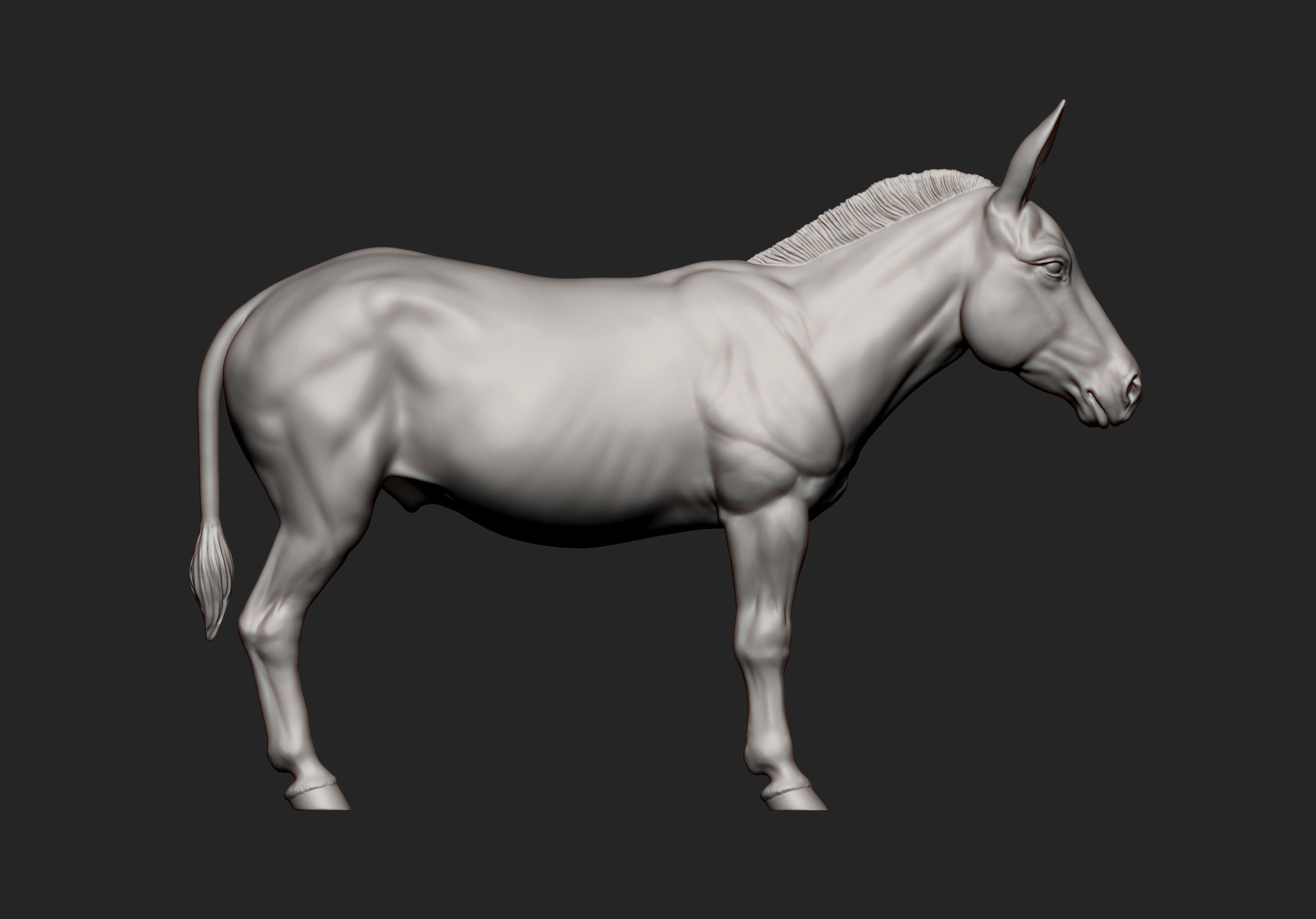 Donkey  3D print model_9
