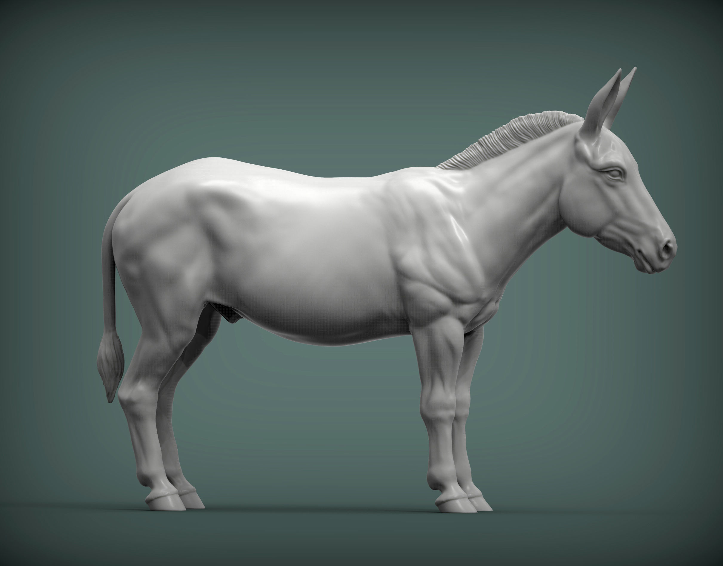 Donkey  3D print model_5