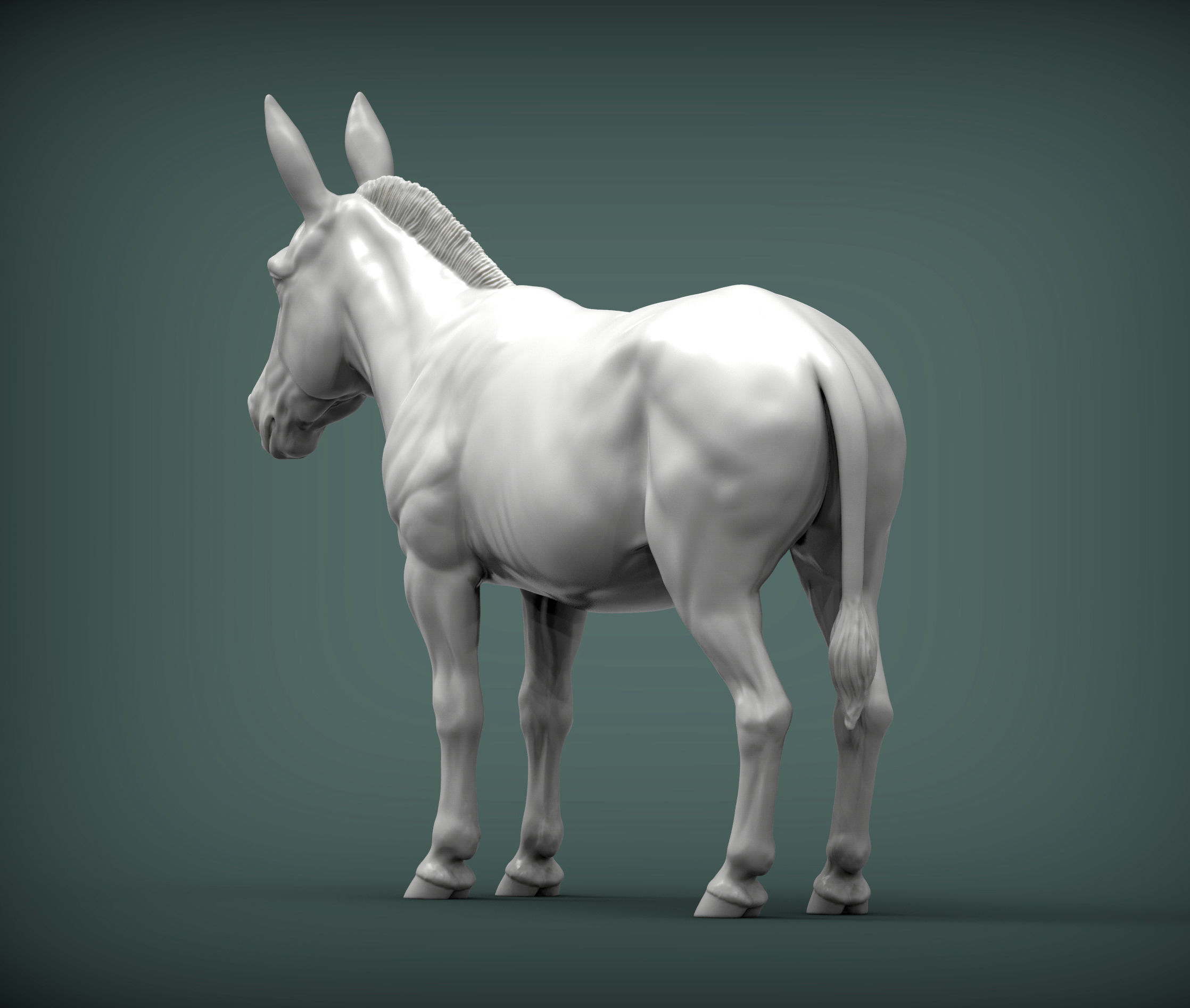 Donkey  3D print model_4