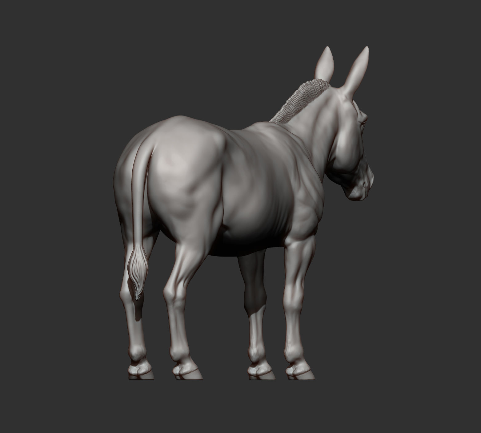 Donkey  3D print model_11