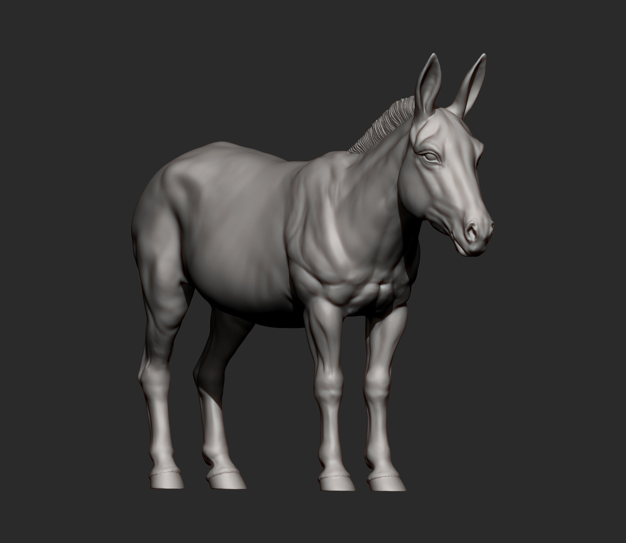 Donkey  3D print model_8