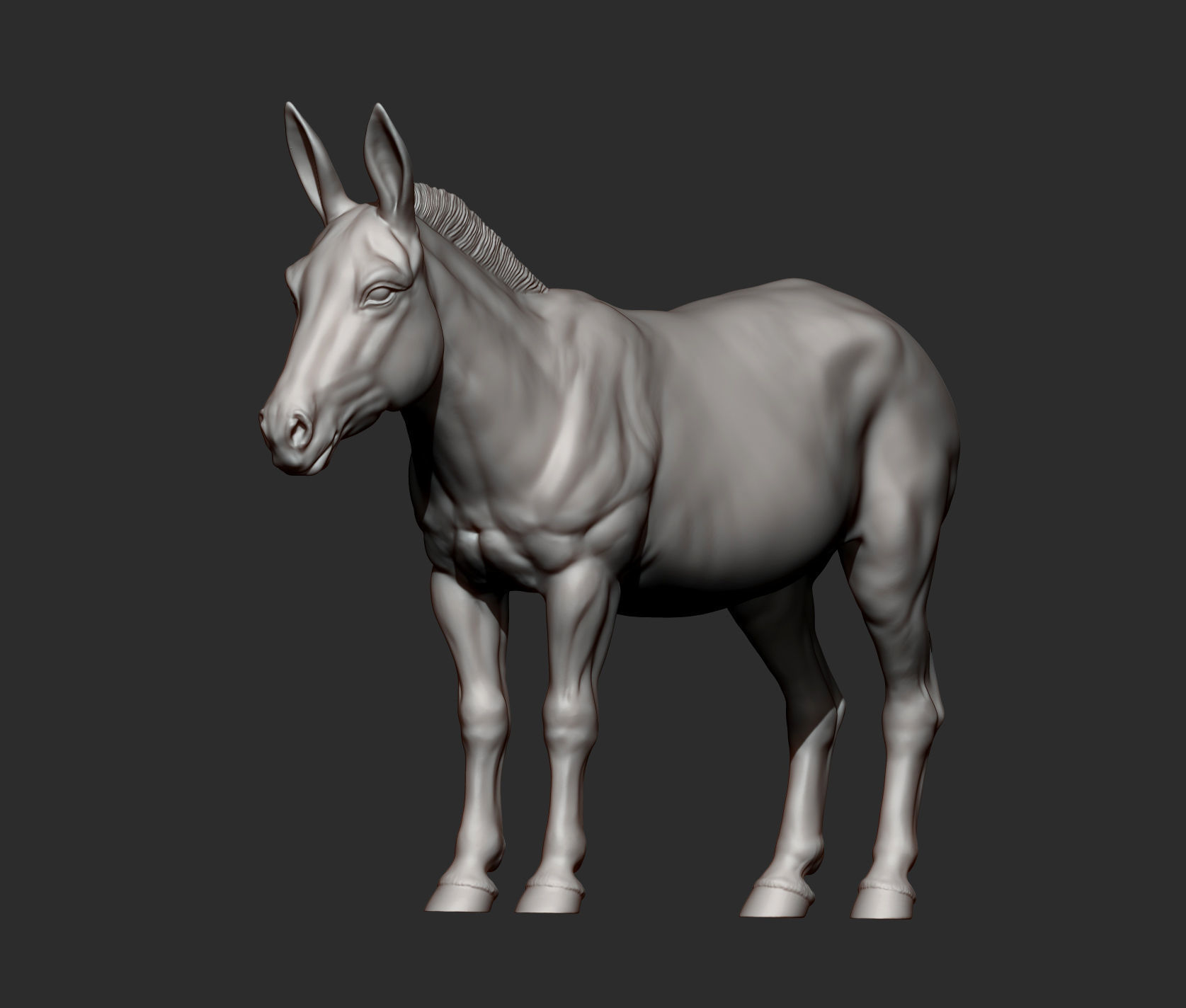 Donkey  3D print model_10
