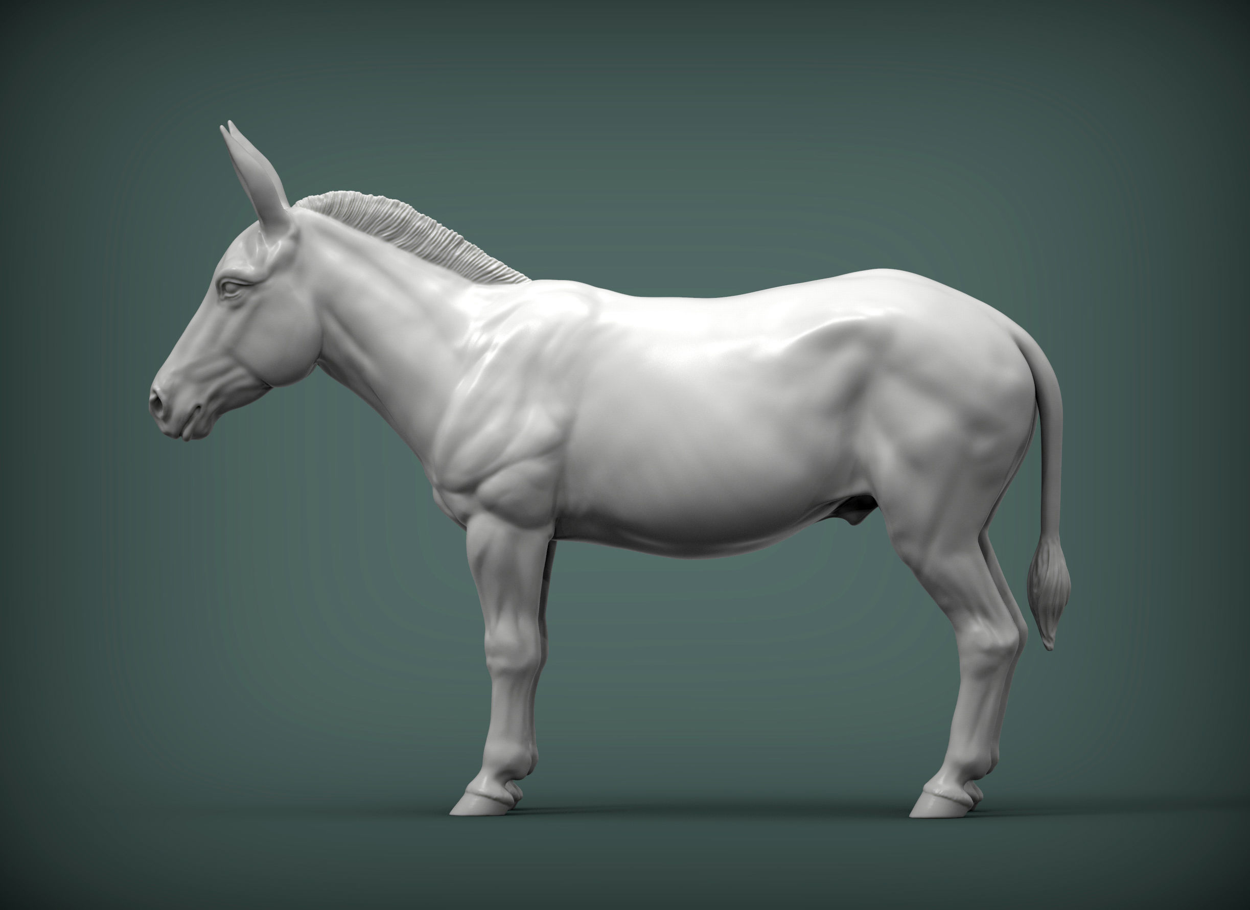 Donkey  3D print model_2