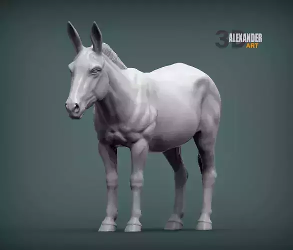 Donkey  3D print model