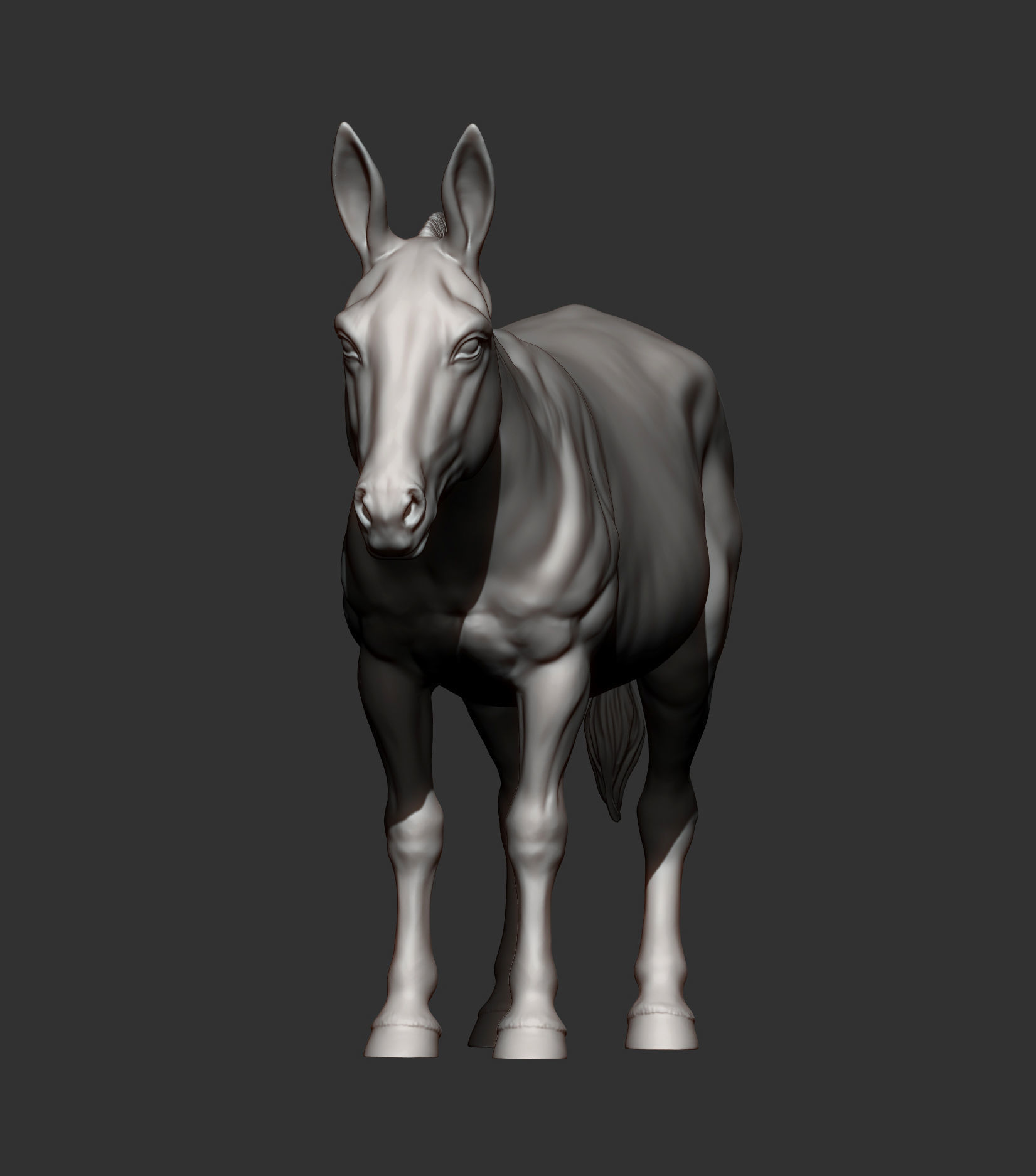 Donkey  3D print model_7