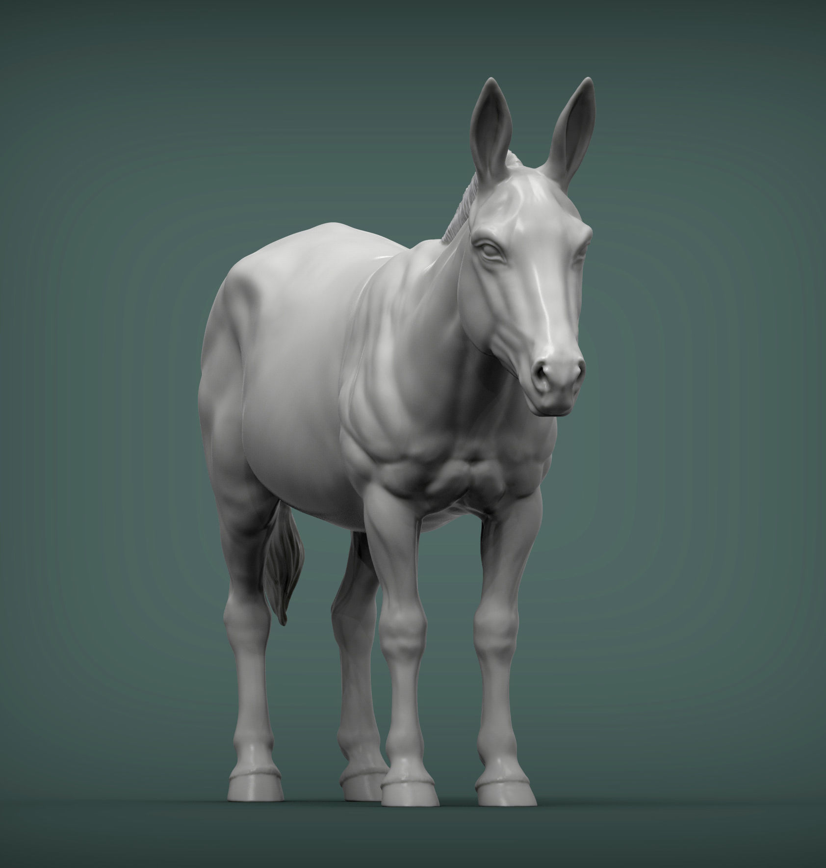 Donkey  3D print model_3