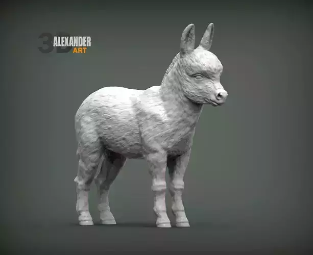 Donkey baby 3D print model