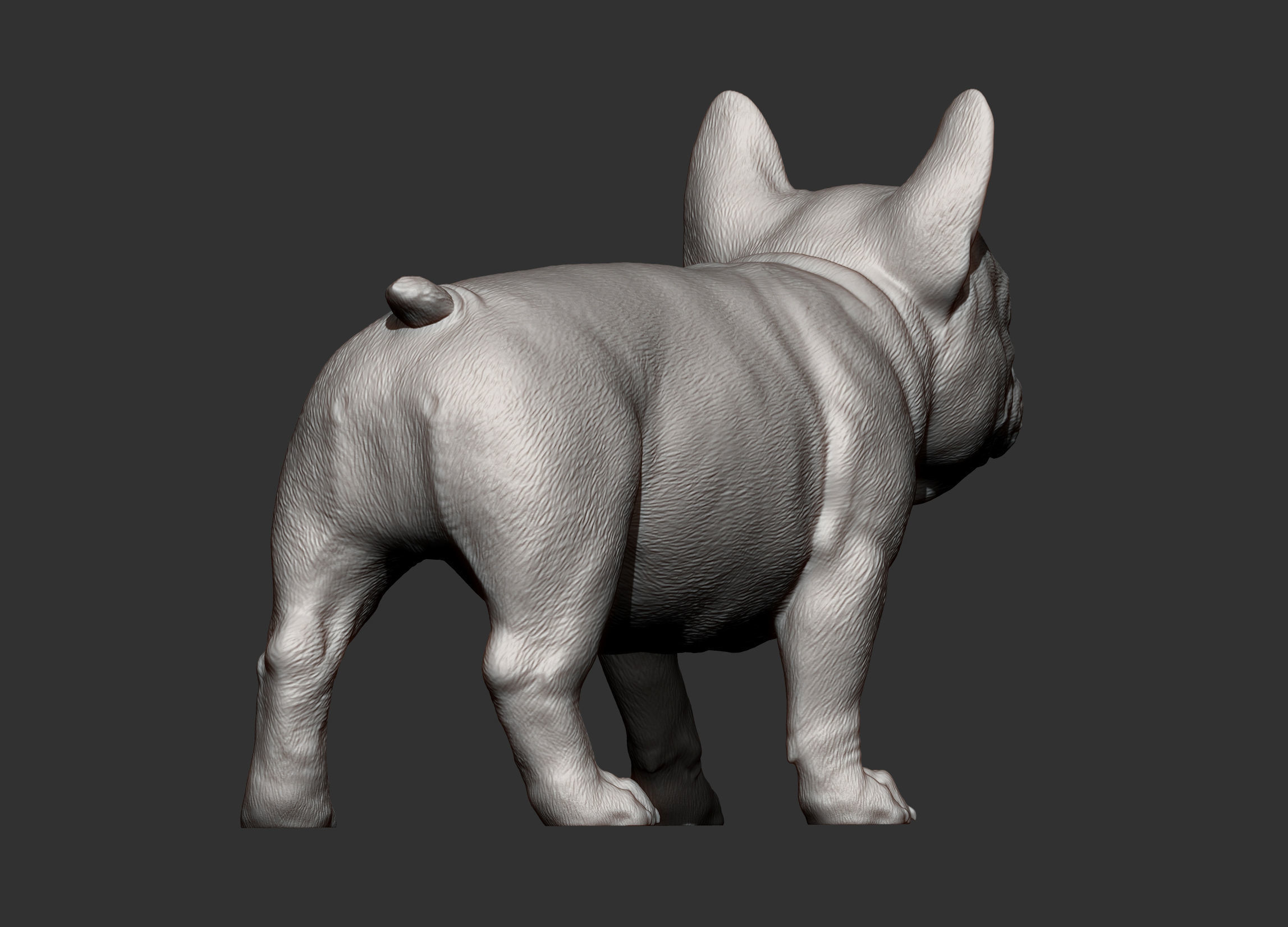 french bulldog puppy 3D print model_12